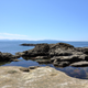 Illustration for article titled Pics from the (Ocean Floor): 2018-05-05 at Botanical Beach